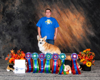 * RALLY & OBEDIENCE