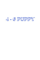 4-6 Puppy