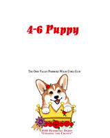 4-6 Puppy